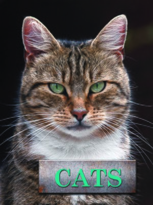 cover image of Cats 